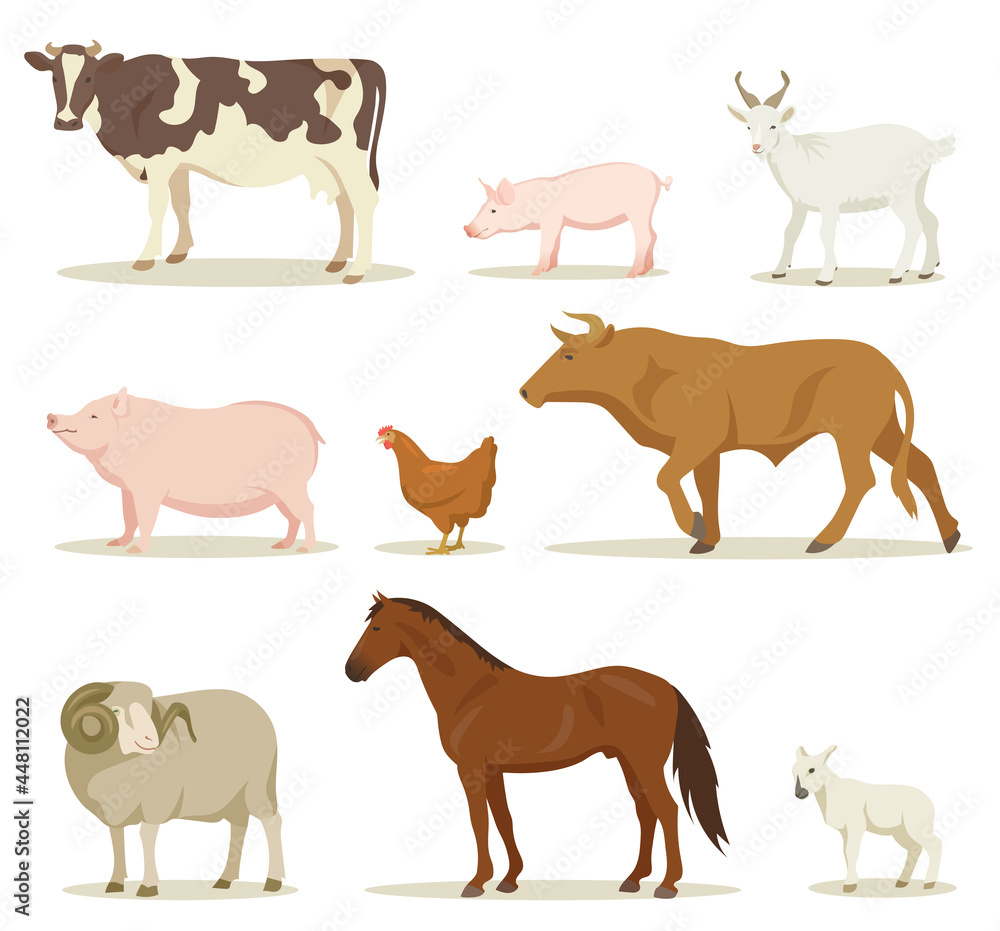 Cartoon Domestic Animals Illustrations Set Stock Illustration | Adobe Stock