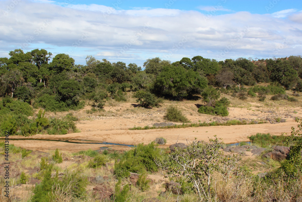 Timbavati River / Timbavati River /