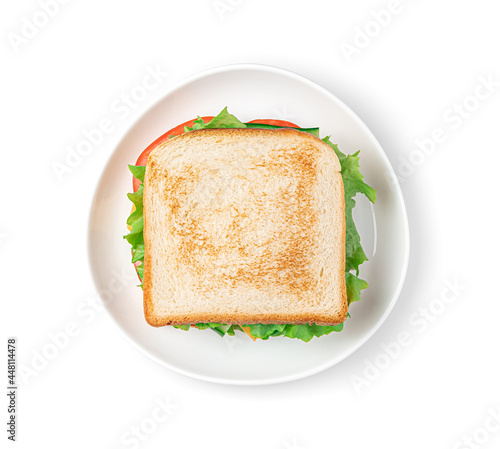 Sandwich with vegetables, cheese and turkey on a white plate. Top view.