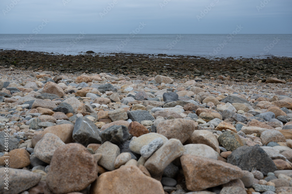 Seaweed, Rocks, Shoreline