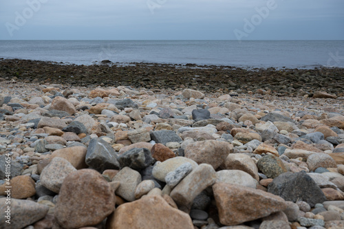 Seaweed, Rocks, Shoreline