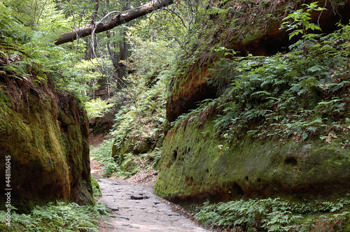 Wanderweg in der Böhmischen Schweiz photo