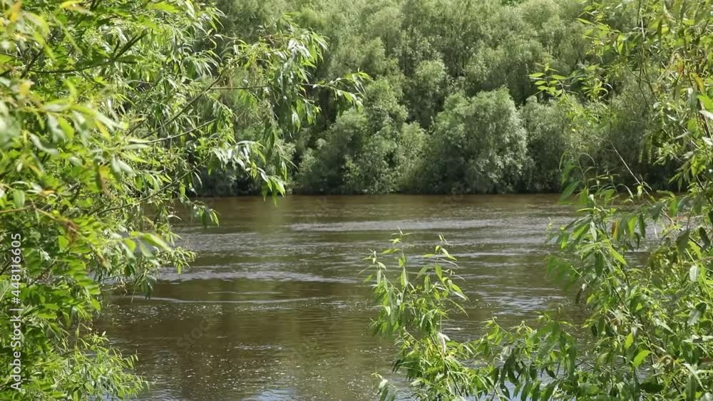 river flowing between the trees
river flowing between the trees