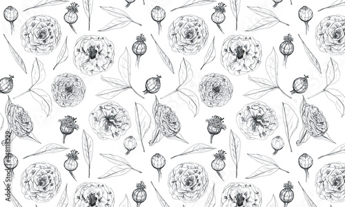 Patrón vectorizado de flores, camelias sobre fondo blanco
