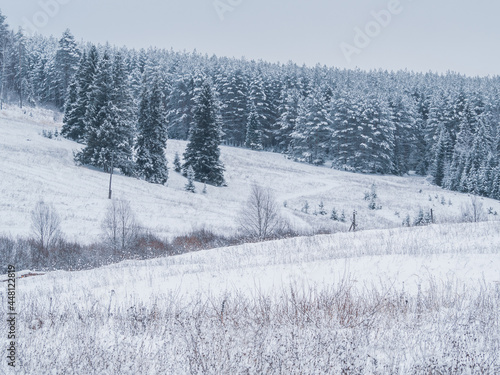 Snow-covered hill with forest at the Stone Hill park on a frosty winter day. Beautiful landscape with conifer forest on snowy cloudy day. Frozen nature in fantastic white forest © Evgesha