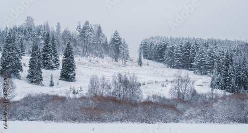 Snow-covered hill with forest at the Stone Hill park on a frosty winter day. Beautiful landscape with conifer forest on snowy cloudy day. Frozen nature in fantastic white forest