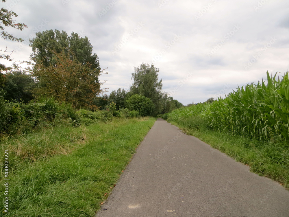 Balade sur petit chemin verdoyant