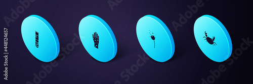 Set Isometric Crab, Flower producing pollen, Hand with psoriasis or eczema and Test tube flask icon. Vector