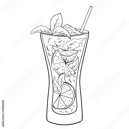 Mojito cocktail, hand drawn cocktail with ice, mint and lime. Vector illustration