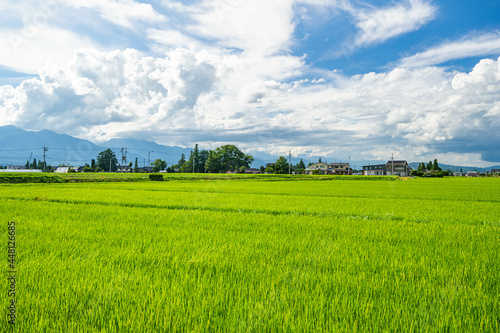 夏の田園風景 安曇野市