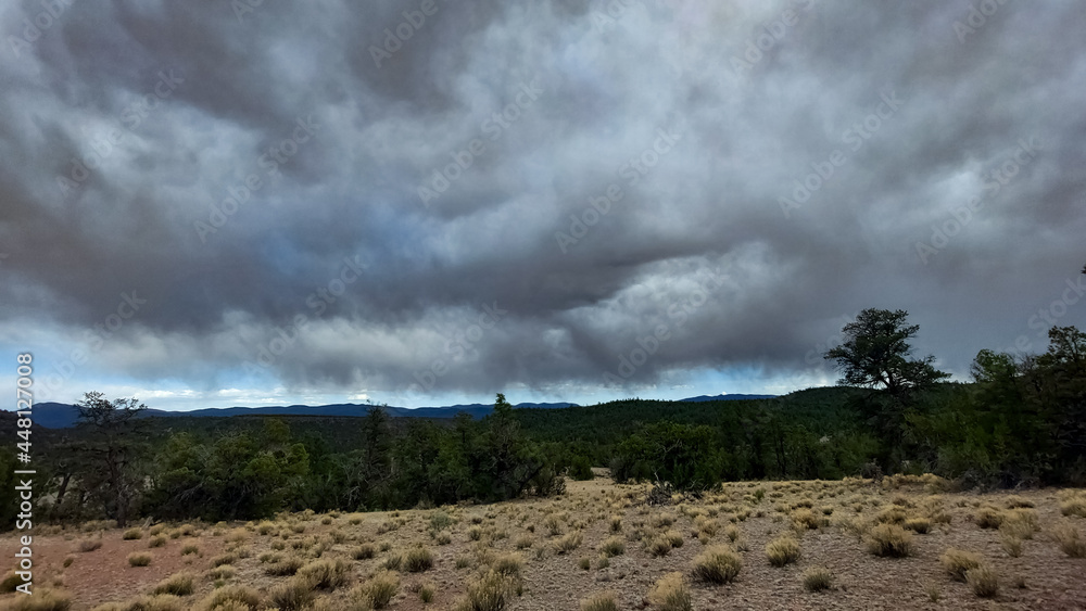 Fototapeta premium New Mexico Hike 3