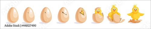 Baby chicken hatching from egg step-by-step process set. Sequence of fluffy hen child birth funny and educational from whole egg to cracked vector illustration isolated on white background