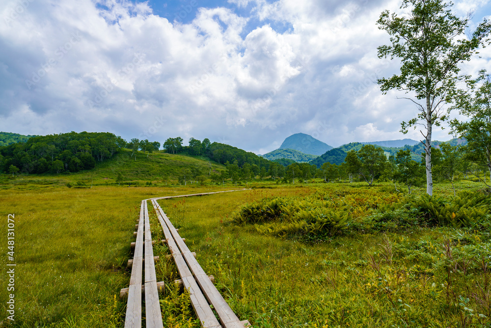 志賀高原湿地帯の散策風景