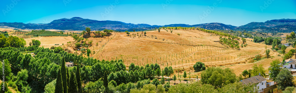 Summer Andalusian Lanscape Near Ronda, Province Of Malaga, Spain