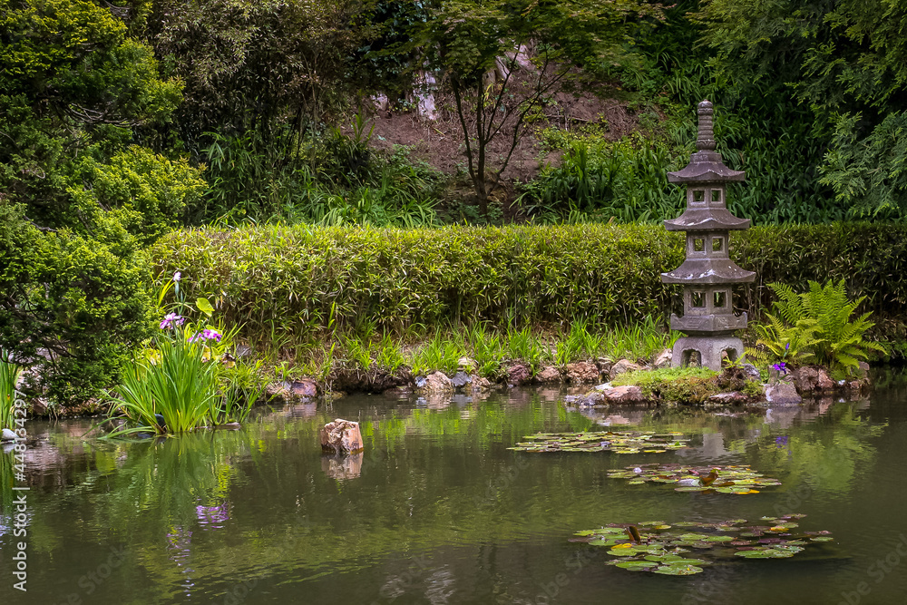 japanese garden with pond