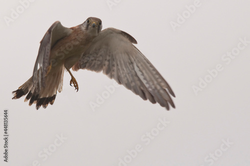 The different faces of Australia