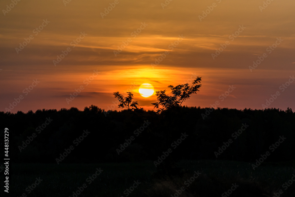 Sunset Sunset