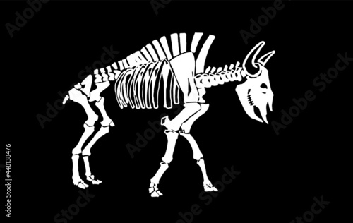 Graphical skeleton of bison isolated on black background,vector  engraved illustration