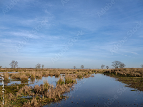 Fototapeta Naklejka Na Ścianę i Meble -  Dwingelerveld near Dwingeloo and Ruinen, Drenthe Province, The netherlands