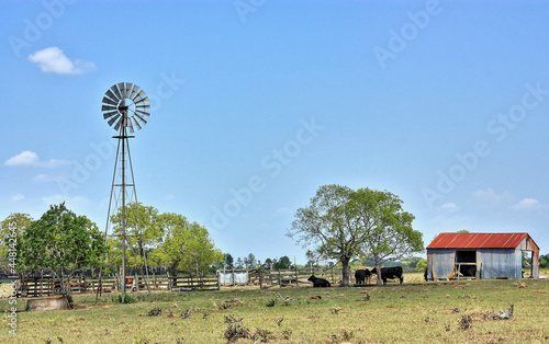 Sealy Texas Windmill and Red Roof
