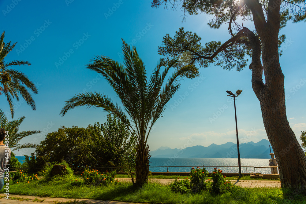 Fototapeta premium ANTALYA, TURKEY: Beautiful Karaalioglu park with palm trees on a sunny day in Antalya.