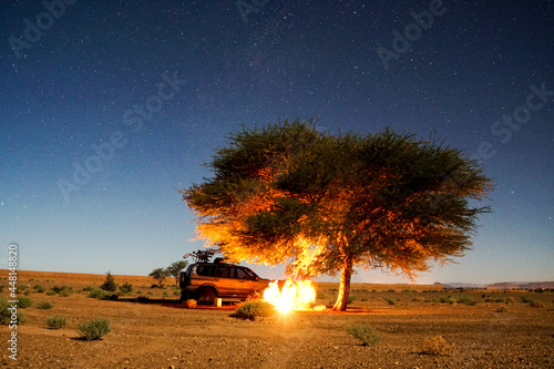 fire in the forest , Sahara desert Morocco 