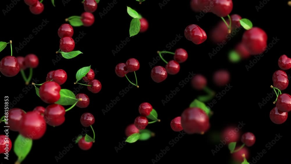 Red cherries slowly falling on a transparent background. Looped 4k animation with depth of field. ProRes 4444 Red cherries slowly falling on a transparent background. Looped 4k animation with depth of field. ProRes 4444