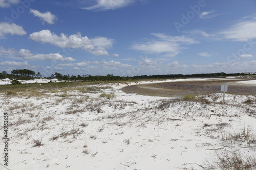 Camp Helen State Park, Florida, USA