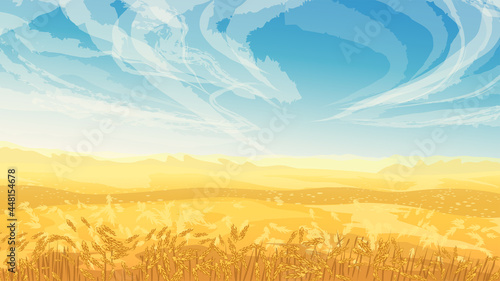golden color field with wheat blue sky