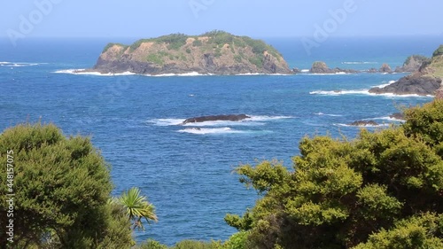 Kukutauwhao Island - New Zealand photo