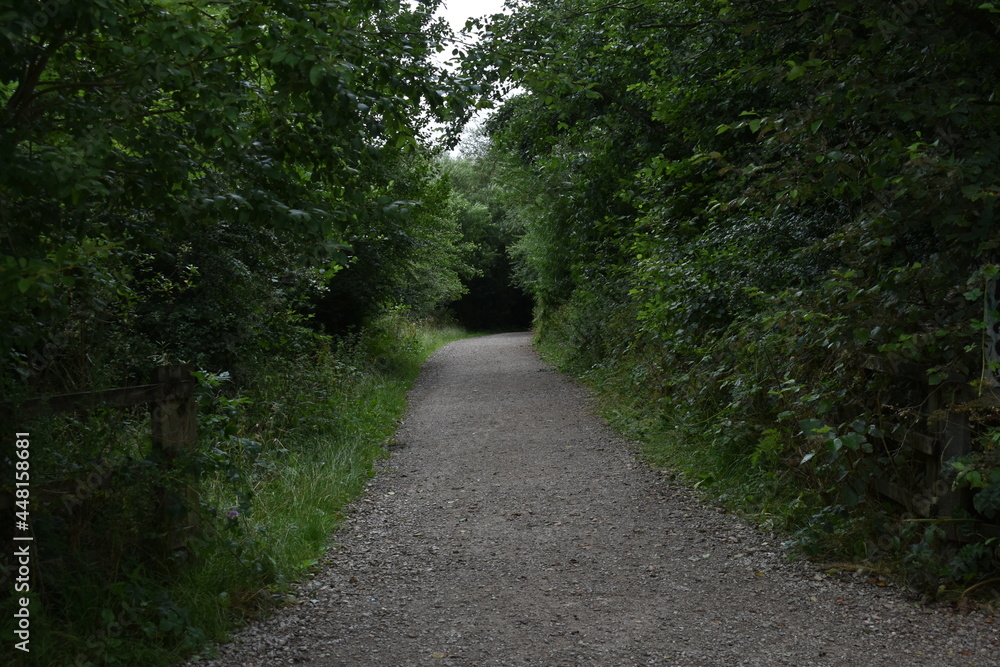 gravel footpath surrounded by trees