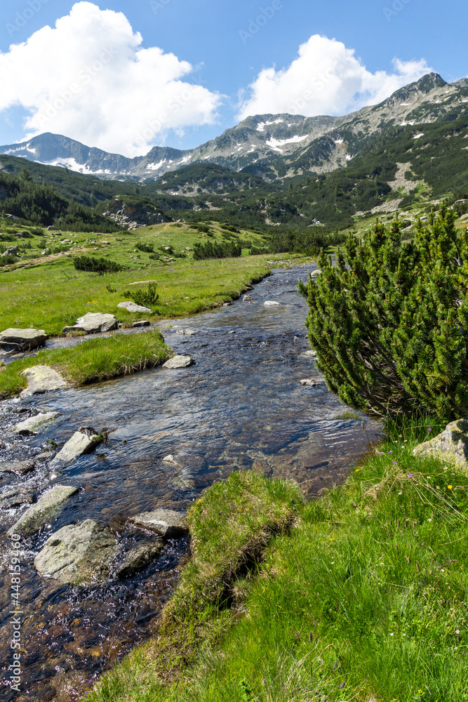 Landscape of Banderitsa River at Pirin Mountain, Bulgaria