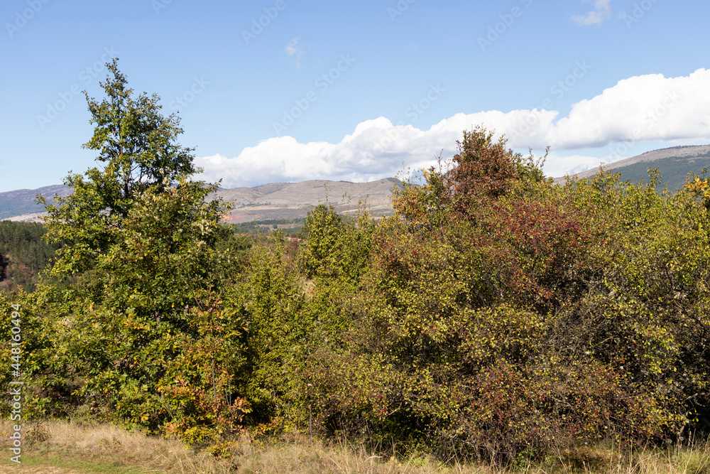 Landscape of Nishava river gorge, Balkan Mountains, Bulgaria Landscape of Nishava river gorge, Balkan Mountains, Bulgaria
