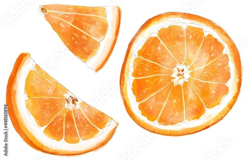 Hand-drawn watercolor orange slice illustration 