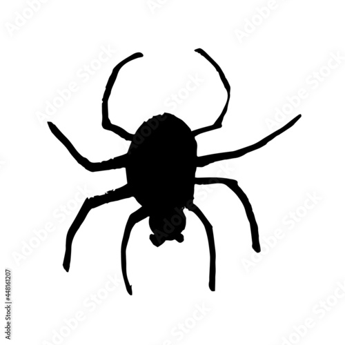 Vector image of a spider for Halloween. Black on a white background. Brush strokes. Hand drawing
