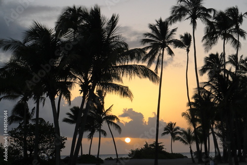 Sunrise_Sunset_Palm Trees Beach 