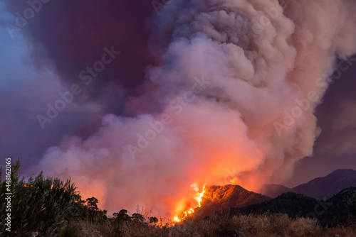 Forest fire near Marmaris resort town of Turkey on July 29, 2021