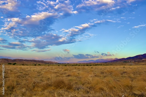 California Desert Landscape With Mountain Background