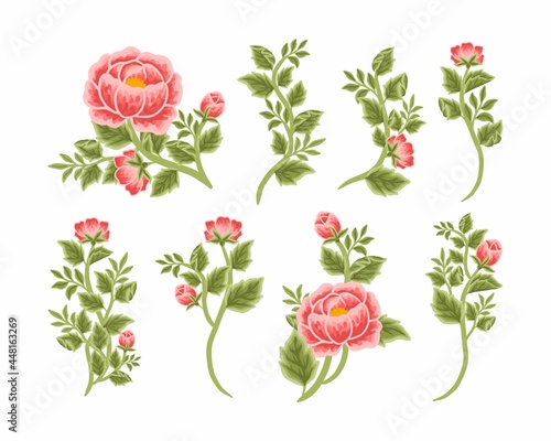 Wallpaper Mural Set of vintage feminine red peony flower bouquet vector illustration arrangements for logo, beauty products, decoration, wedding invitation, greeting cards, aesthetic elements for various purposes Torontodigital.ca
