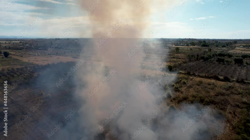 Flying through smoke cloud in forest fire. Flying through smoke cloud in forest fire.