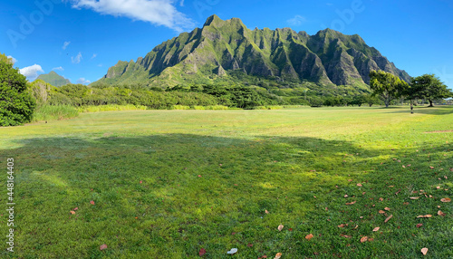 Kualoa Ranch in Oahu, Hawaii. Green mountains of the Koolau range in with blue sky and green grass with leaves in the foreground.