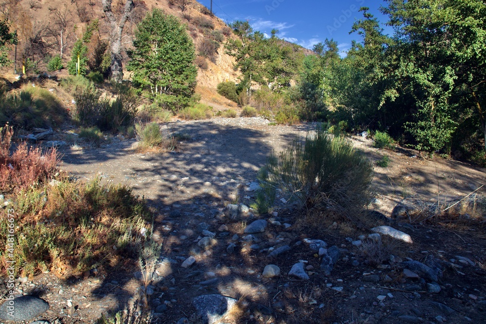 Calm River On Sunny Day Surrounded By Trees Calm River On Sunny Day Surrounded By Trees