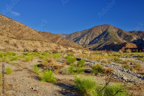 California Desert Landscape With Mountain Background