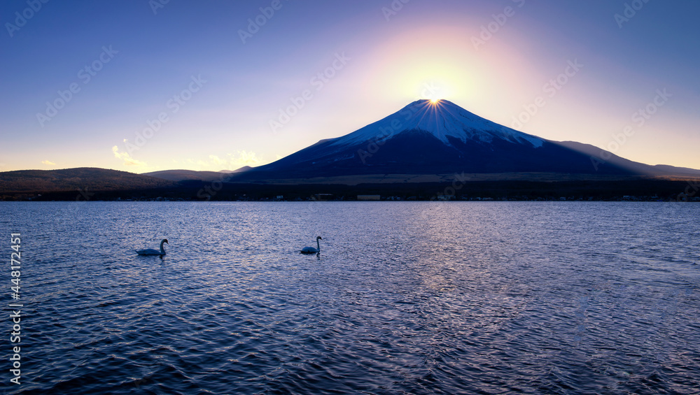 Fuji Mountain Diamond with Swans at Sunset, Yamanaka Lake, Japan