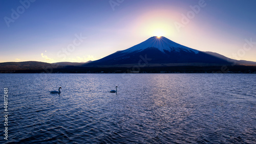 Fuji Mountain Diamond with Swans at Sunset, Yamanaka Lake, Japan