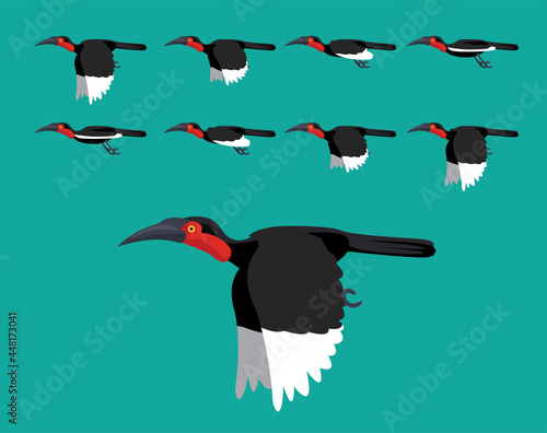 Animal Animation Sequence Southern Ground Hornbill Flying Cartoon Vector