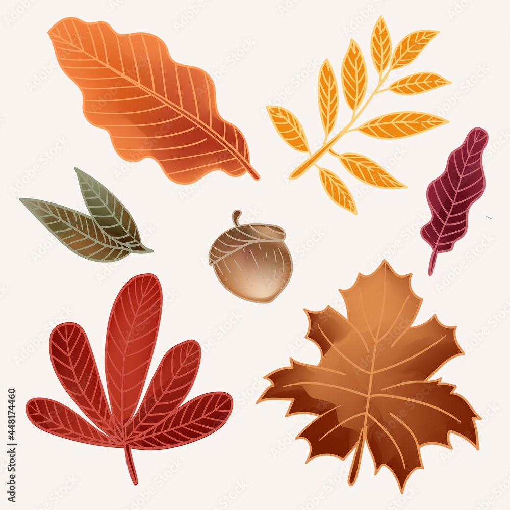 Obraz premium Autumn leaves set background element