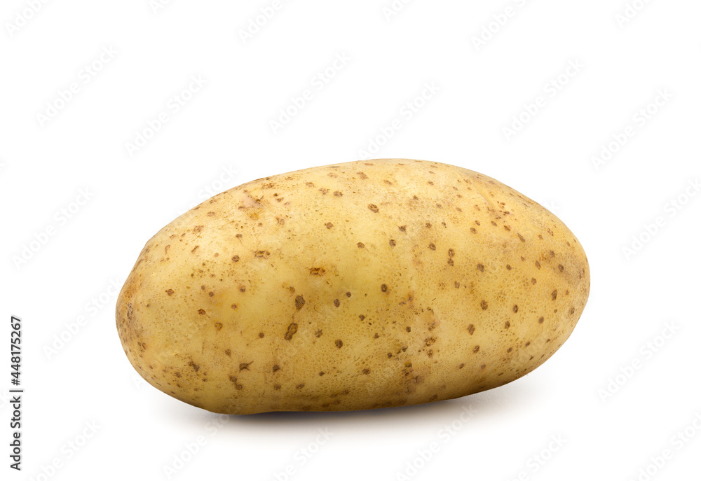 Potato vegetable isolated on white background Potato vegetable isolated on white background
