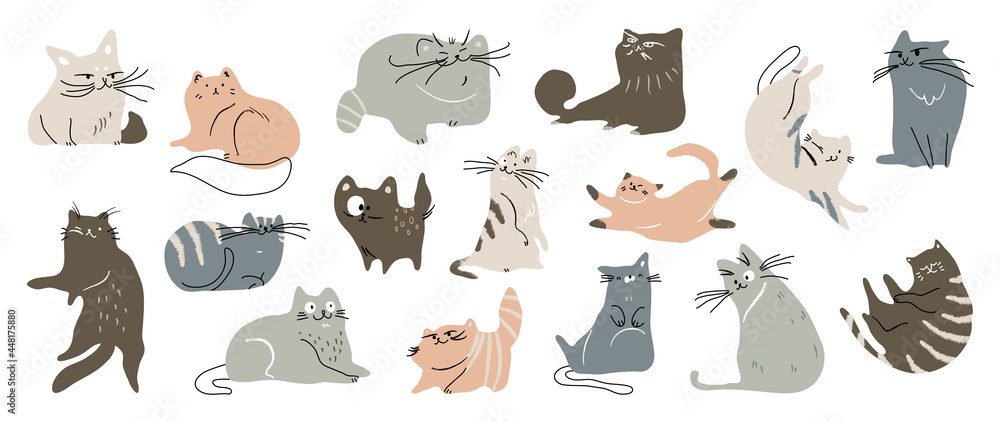 Fototapeta Cute cat doodle vector set. Cartoon cats or kitten characters design collection with flat color in different poses. Set of purebred pet animals isolated on white background.