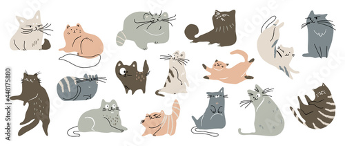 Cute cat doodle vector set. Cartoon cats or kitten characters design collection with flat color in different poses. Set of purebred pet animals isolated on white background.